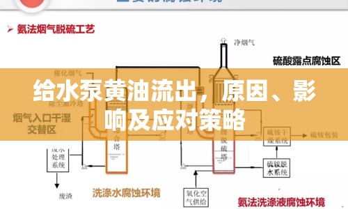 給水泵黃油流出，原因、影響及應(yīng)對策略