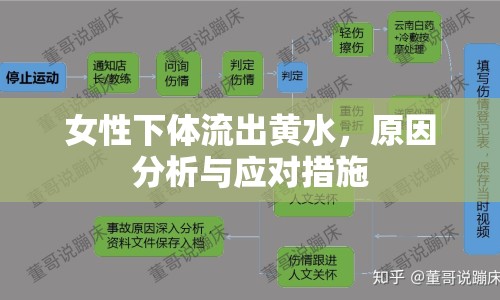 女性下體流出黃水，原因分析與應(yīng)對措施