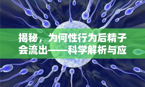 揭秘，為何性行為后精子會流出——科學解析與應(yīng)對策略