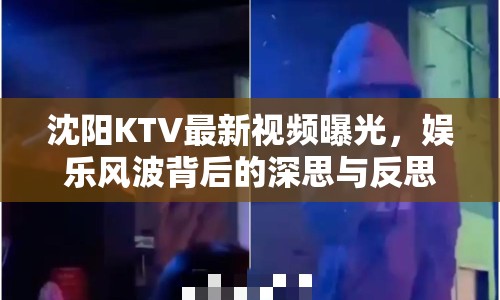 沈陽KTV最新視頻曝光，娛樂風波背后的深思與反思