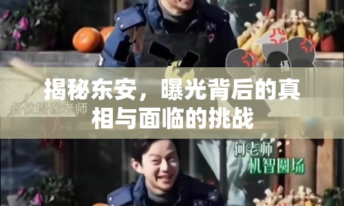 揭秘東安，曝光背后的真相與面臨的挑戰(zhàn)