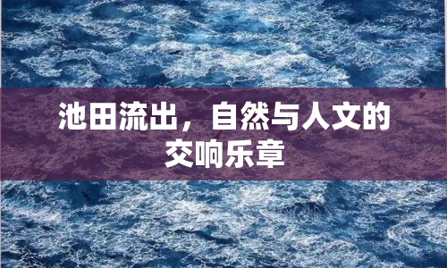 池田流出，自然與人文的交響樂章