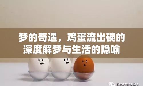 夢(mèng)的奇遇，雞蛋流出碗的深度解夢(mèng)與生活的隱喻