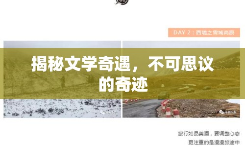 揭秘文學(xué)奇遇，不可思議的奇跡