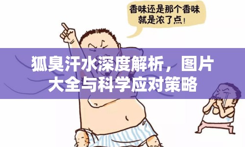 狐臭汗水深度解析，圖片大全與科學(xué)應(yīng)對策略