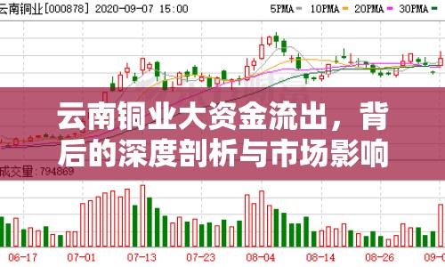 云南銅業(yè)大資金流出，背后的深度剖析與市場影響