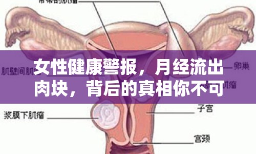 女性健康警報(bào)，月經(jīng)流出肉塊，背后的真相你不可不知