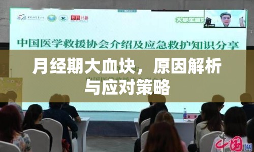 月經(jīng)期大血塊，原因解析與應(yīng)對(duì)策略
