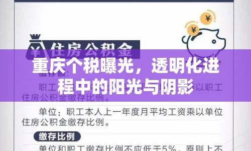 重慶個稅曝光，透明化進程中的陽光與陰影