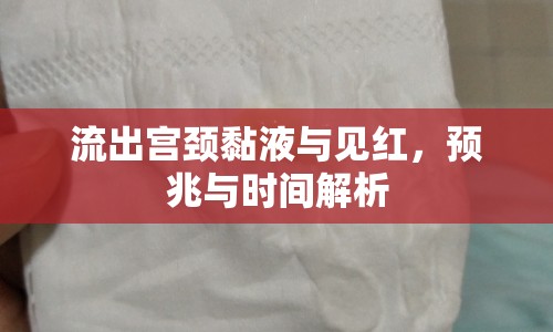 流出宮頸黏液與見紅，預(yù)兆與時間解析