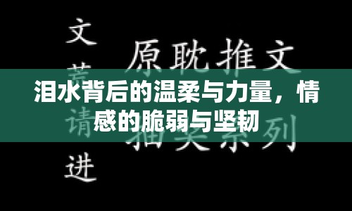 淚水背后的溫柔與力量，情感的脆弱與堅(jiān)韌