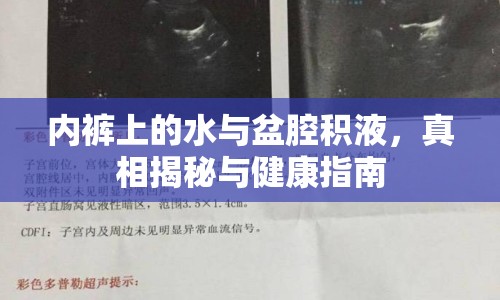 內褲上的水與盆腔積液，真相揭秘與健康指南