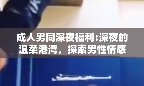 成人男同深夜福利:深夜的溫柔港灣，探索男性情感的新世界