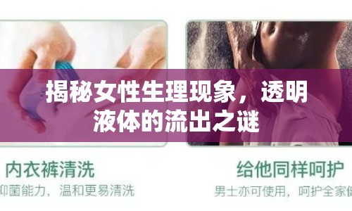 揭秘女性生理現(xiàn)象，透明液體的流出之謎