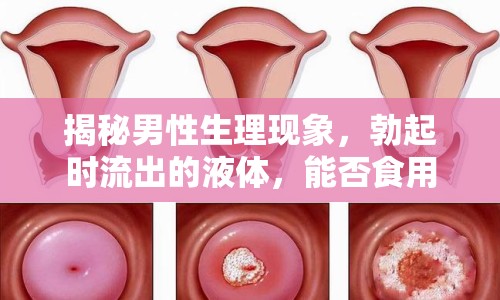 揭秘男性生理現(xiàn)象，勃起時(shí)流出的液體，能否食用？