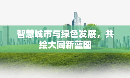 智慧城市與綠色發(fā)展，共繪大同新藍(lán)圖
