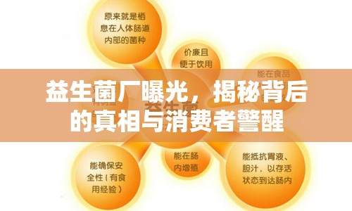 益生菌廠曝光，揭秘背后的真相與消費者警醒