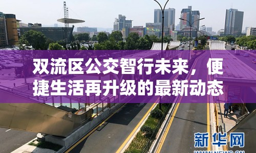 雙流區(qū)公交智行未來，便捷生活再升級的最新動態(tài)