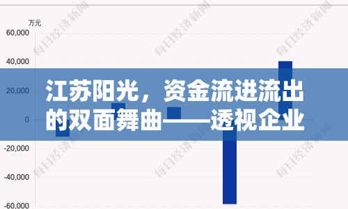江蘇陽光，資金流進(jìn)流出的雙面舞曲——透視企業(yè)財(cái)務(wù)健康與市場動向