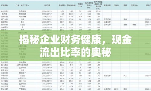 揭秘企業(yè)財(cái)務(wù)健康，現(xiàn)金流出比率的奧秘
