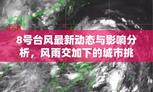 8號臺風(fēng)最新動態(tài)與影響分析，風(fēng)雨交加下的城市挑戰(zhàn)