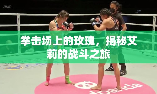 拳擊場(chǎng)上的玫瑰，揭秘艾莉的戰(zhàn)斗之旅