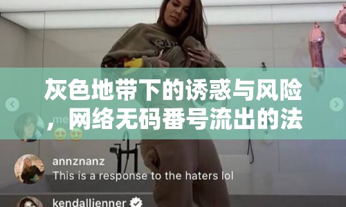 灰色地帶下的誘惑與風(fēng)險(xiǎn)，網(wǎng)絡(luò)無碼番號(hào)流出的法律挑戰(zhàn)