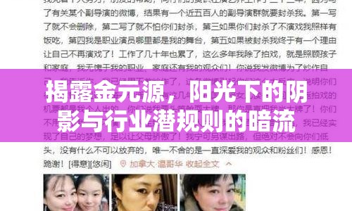 揭露金元源，陽光下的陰影與行業(yè)潛規(guī)則的暗流