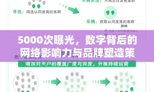 5000次曝光，數(shù)字背后的網(wǎng)絡(luò)影響力與品牌塑造策略