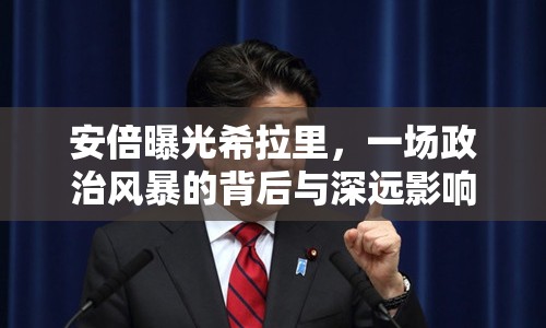 安倍曝光希拉里，一場政治風(fēng)暴的背后與深遠(yuǎn)影響