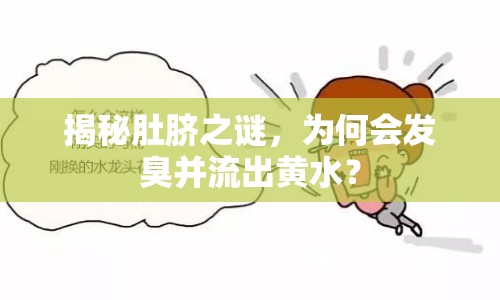 揭秘肚臍之謎，為何會發(fā)臭并流出黃水？
