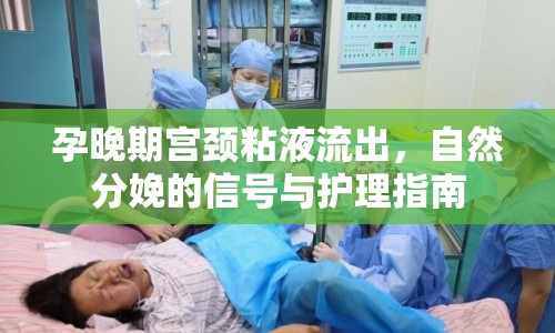 孕晚期宮頸粘液流出，自然分娩的信號與護(hù)理指南