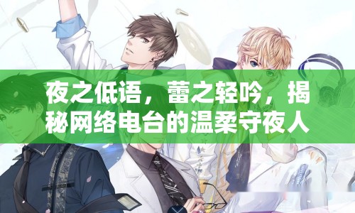 夜之低語，蕾之輕吟，揭秘網(wǎng)絡(luò)電臺的溫柔守夜人