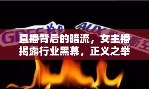直播背后的暗流，女主播揭露行業(yè)黑幕，正義之舉照亮網(wǎng)絡(luò)直播的陰暗面