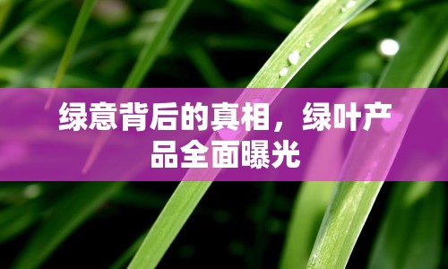 綠意背后的真相，綠葉產(chǎn)品全面曝光
