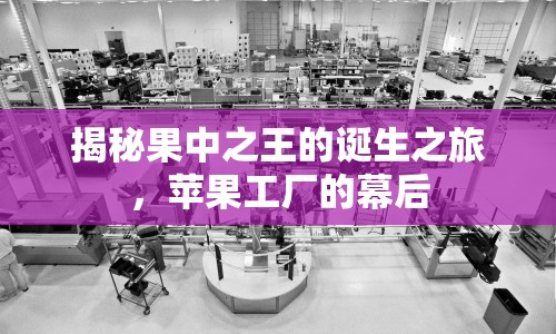揭秘果中之王的誕生之旅，蘋果工廠的幕后