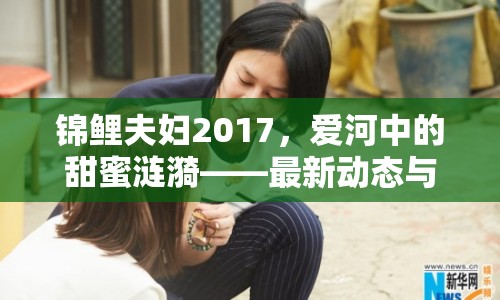 錦鯉夫婦2017，愛河中的甜蜜漣漪——最新動態(tài)與幸福展望