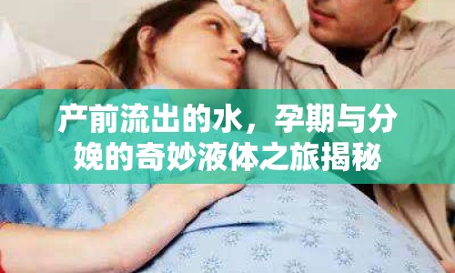 產(chǎn)前流出的水，孕期與分娩的奇妙液體之旅揭秘