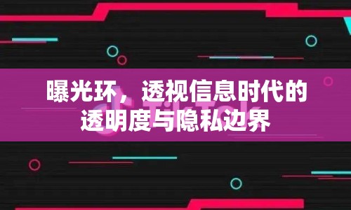 曝光環(huán)，透視信息時(shí)代的透明度與隱私邊界