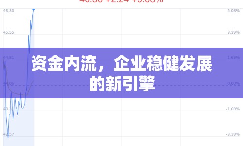 資金內(nèi)流，企業(yè)穩(wěn)健發(fā)展的新引擎