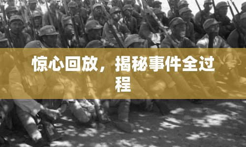 驚心回放，揭秘事件全過(guò)程
