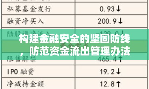 構(gòu)建金融安全的堅固防線，防范資金流出管理辦法