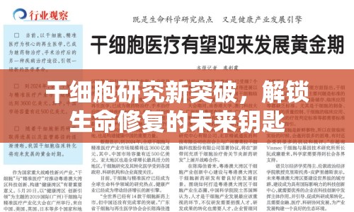 干細(xì)胞研究新突破，解鎖生命修復(fù)的未來(lái)鑰匙