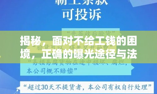 揭秘，面對(duì)不給工錢(qián)的困境，正確的曝光途徑與法律維權(quán)指南