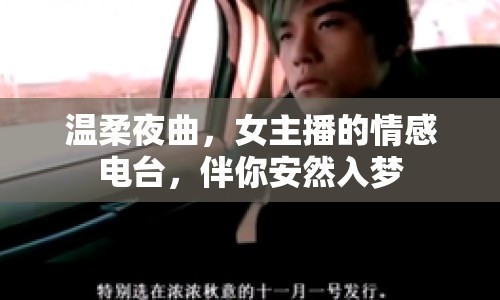 溫柔夜曲，女主播的情感電臺(tái)，伴你安然入夢(mèng)