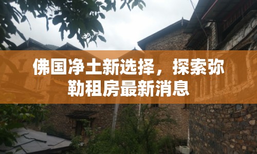 佛國凈土新選擇，探索彌勒租房最新消息
