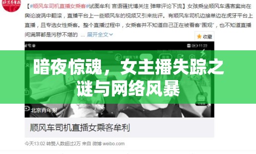 暗夜驚魂，女主播失蹤之謎與網(wǎng)絡(luò)風(fēng)暴
