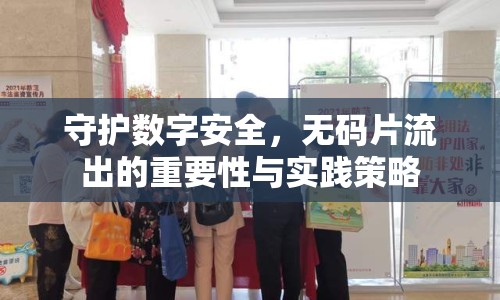 守護(hù)數(shù)字安全，無碼片流出的重要性與實(shí)踐策略