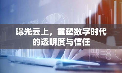 曝光云上，重塑數(shù)字時代的透明度與信任