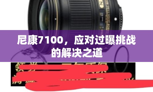 尼康7100，應(yīng)對過曝挑戰(zhàn)的解決之道